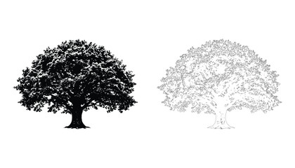 Collection of black and white tree silhouettes isolated on transparent background vector illustration. © SJB studio
