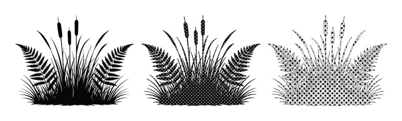 Black silhouette marsh grass and cattail reed set, botanical fern and wild meadow plant vector, swamp vegetation icons for landscape design © Jemie