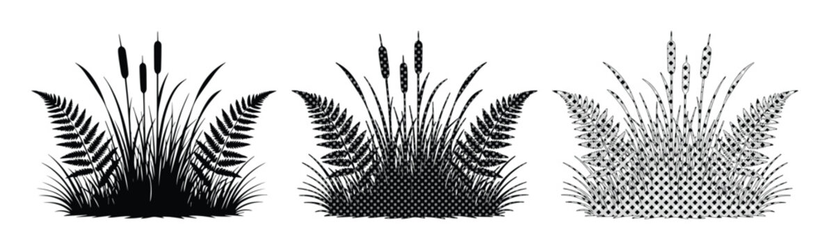 Black silhouette marsh grass and cattail reed set, botanical fern and wild meadow plant vector, swamp vegetation icons for landscape design