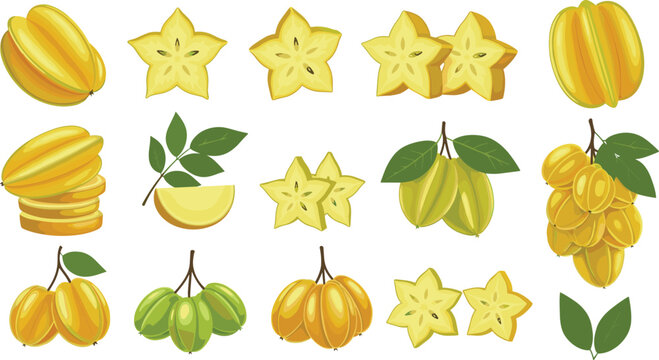 Yellow Starfruit Carambola Vector Illustration Set with Whole Sliced and Leaf Elements on White Background