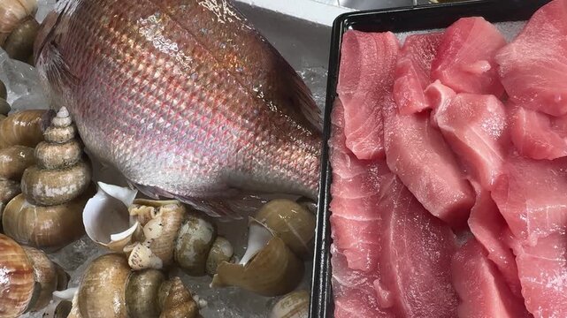 Fresh whole red sea bream, tuna and whelk shellfish on ice, freshly purchased Japanese seafood