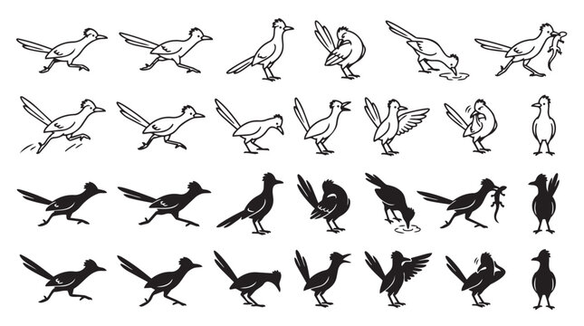 Roadrunner bird silhouette and line art icon collection with roadrunner wildlife silhouette