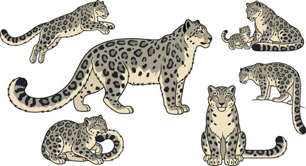 Naklejka premium Snow Leopard Vector Illustration Featuring Standing, Leaping, Sitting, Lying, Growling, and Cub Interaction Poses