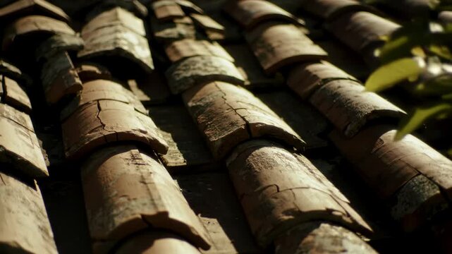 Close-up of aged terracotta roof tiles with sunlight and greenery