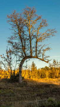 Cooper Mountain Nature Park,  Beaverton, Oregon
