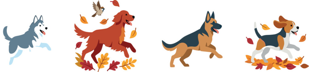 Flat Vector Illustration Set of Active Dog Breeds Husky Retriever German Shepherd and Beagle Running Through Falling Autumn Foliage and Leaves © Rejaul