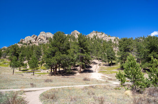 Pine trees in front of boulders at Lily Lake in Rocky Mountains National Park in Colorado, USA