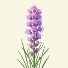 Obraz premium Beautiful Detailed Illustration of a Tall Purple Liatris Flower in Full Bloom