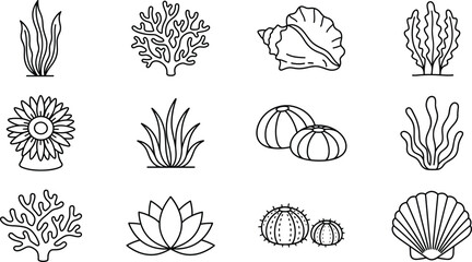 Marine nature and botanical outline icons collection, ocean flora and shell illustrations, coastal ecosystem concept © VectoBloom