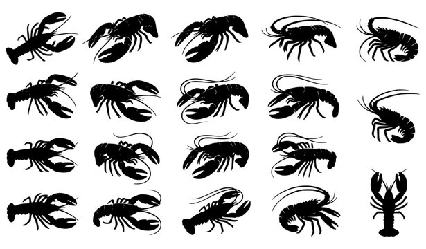 Marine Lobster and Crayfish Silhouette SVG Bundle for Coastal and Seafood Designs