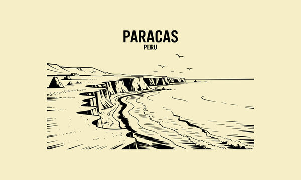 Paracas Peru Coastal Cliffs Ocean Birds Landscape Illustration vector