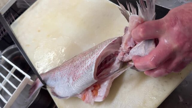 Chef filleting a fresh red sea bream with a knife, traditional Japanese fish preparation at an izakaya