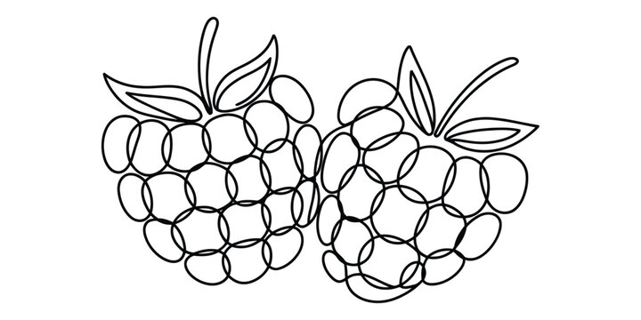 Two fresh raspberries line art drawing