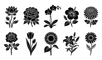 Fototapeta premium Black and white floral silhouettes with various flowers