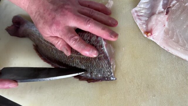Chef filleting a fresh red sea bream with a knife, traditional Japanese fish preparation at an izakaya