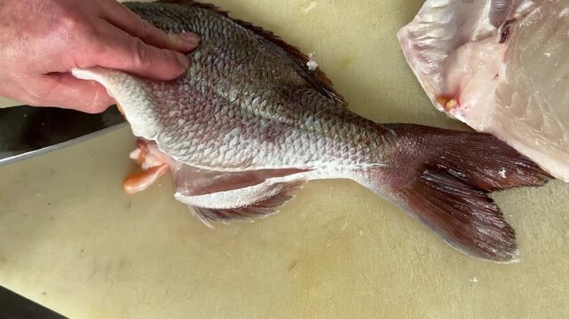 Chef filleting a fresh red sea bream with a knife, traditional Japanese fish preparation at an izakaya