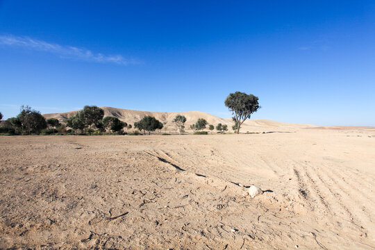 Israel, Negev Desert landscape