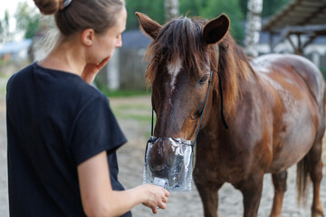 Fototapeta premium A woman holds a device while looking at a brown horse with a transparent mask over its nostrils