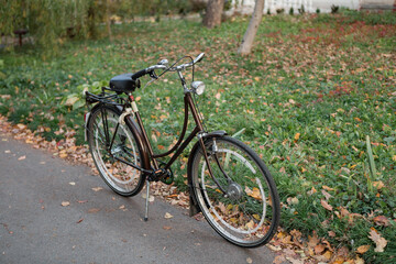 Fototapeta premium Bicycle parked on a pathway surrounded by grass and autumn leaves in a public park during a sunny afternoon in late fall