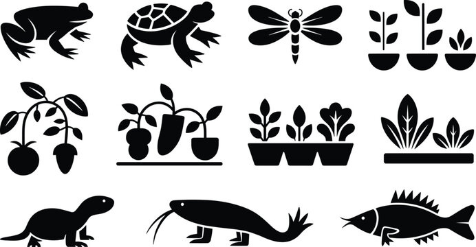 Set of biodiversity silhouette icons including frog, turtle, dragonfly, plants, lizard, and fish