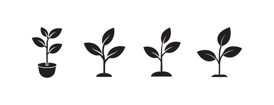 small plants in pots and soil with leaves on white background  plant growth icons