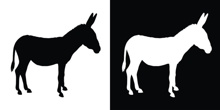 vector black silhouette of a donkey, animal icon, standing donkey silhouette vector