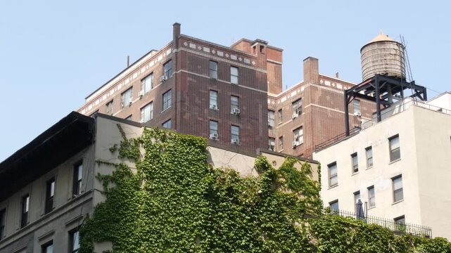 New York City urban building architecture, Manhattan rooftop, United States of America. Water tower on roof. Classic water tank. Ivy greenery on wall. Vine climber creeper plant on house, green leaves
