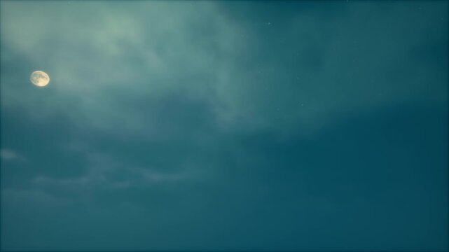 Moonlight Night On The Background 02