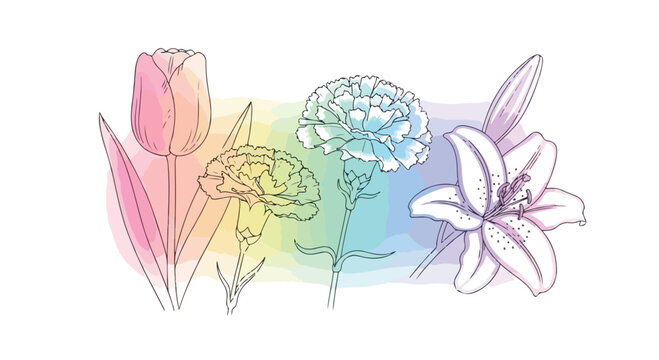 Pastel watercolor floral line art, elegant hand drawn tulip carnation and lily flowers, soft rainbow botanical vector illustration