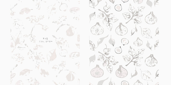figs and leaves detailed sketches botanical illustration
