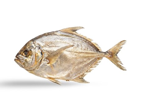 Dried Moonfish Isolated on White Background for Seafood and Salty Snack Concept