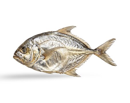 Dried Moonfish Isolated on White Background for Traditional Seafood and Salty Snack Concept