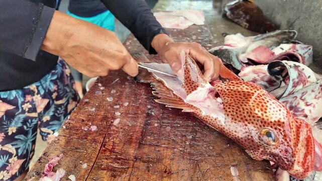 Close-up view of a local fisherman's expert hands using a knife to process and fillet a freshly caught red grouper on a rustic wooden dockside table.