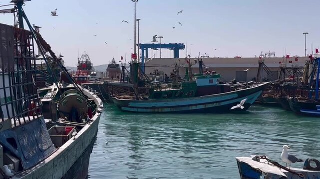 Essaouira Fishing Port with Colorful Boats and Seagulls, Morocco