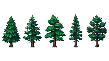 Obraz premium Series of five diverse pine trees illustrating different shapes and growth patterns in nature across varying environmental