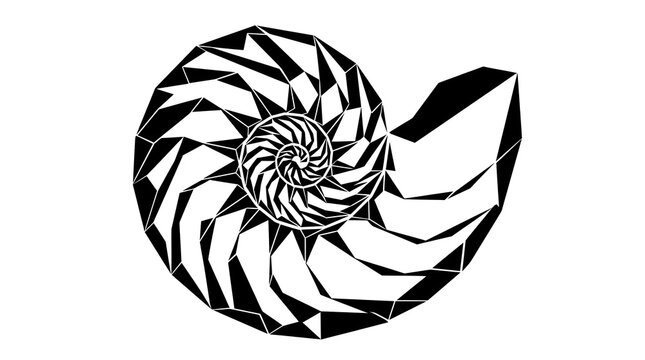 Geometric polygonal nautilus shell silhouette, fibonacci golden ratio spiral marine vector illustration isolated on white background.