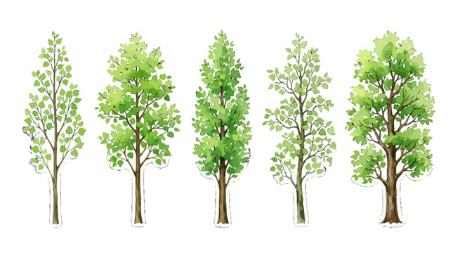 Sequential Illustration of Tree Growth Stages Depicting Evolution from Small Sapling to Mature Tree