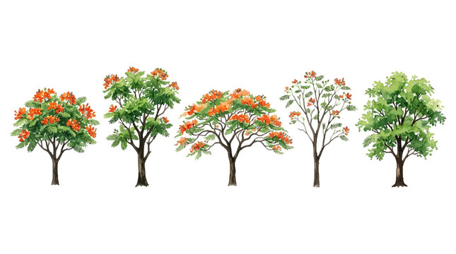 Variety of colorful flowering trees showcasing different stages of growth and seasonal foliage in a minimalistic artistic style