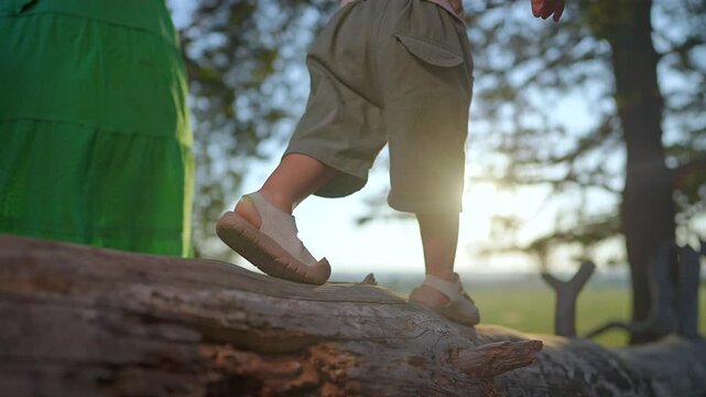 Child walking carefully along forest log. Nature walk helps child learn balance. Close up of child legs walking on log. Balance training in forest with mother support. Hand held in nature for balance
