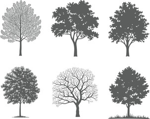 Obraz premium Tree Silhouettes Isolated on White Background
