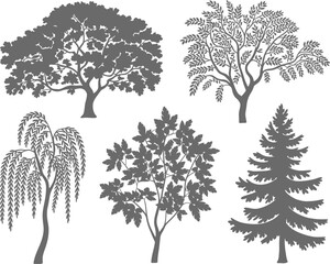 Fototapeta premium Tree Silhouettes on White Background