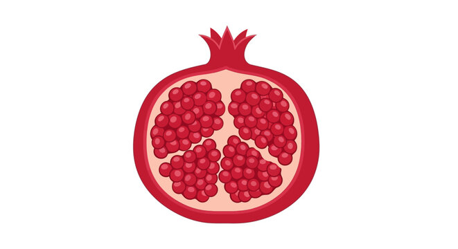 Pomegranate Fruit Cut Open Illustration.