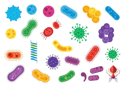 A collection of colorful microscopic bacteria and virus illustrations.