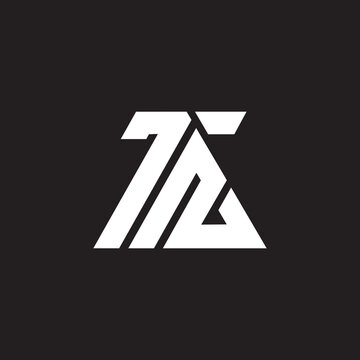 Initial TS  letter logo design modern simple style.