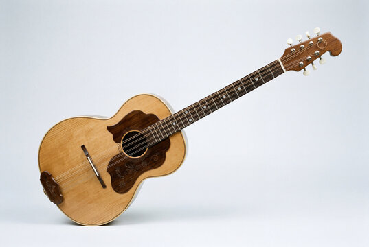 Traditional wooden stringed instrument with a beautifully carved dark pickguard on a white surface