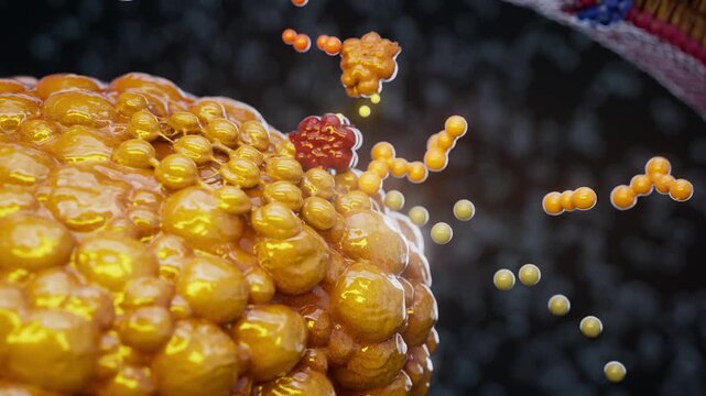 Conceptual 3D animation of an adipocyte releasing fatty acids