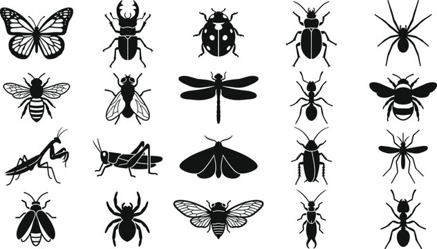 Insect arachnid silhouettes, butterfly beetle spider bee ant dragonfly mantis grasshopper moth cockroach cicada vector illustration design collection