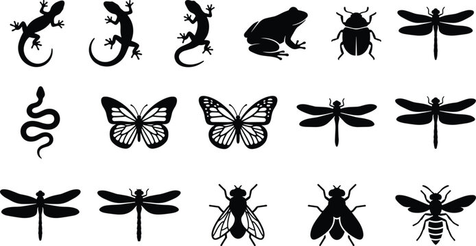 Animal insect silhouettes, lizard frog snake, butterfly dragonfly beetle fly wasp, wildlife nature icons, vector illustration design collection