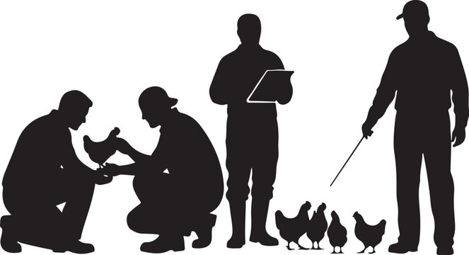 Silhouette of people with chickens farm farming