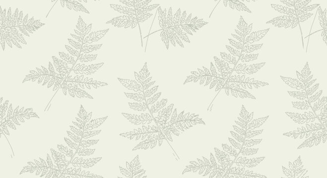 Elegant fern pattern botanical illustration with subtle texture on light background